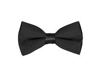 Nœud papillon